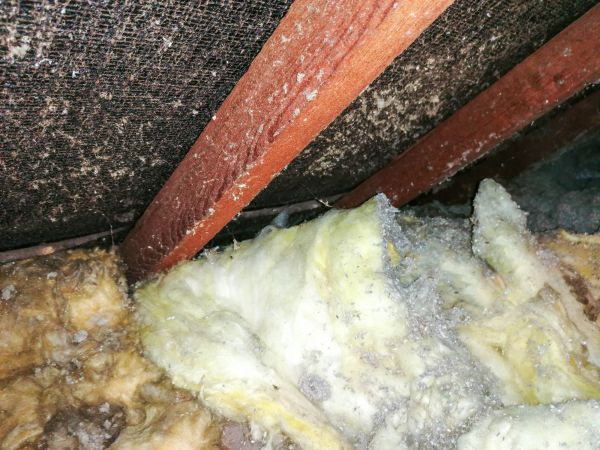 Asbestos Insulation Removal - Asbestos Insulation Removal Greensboro, North Carolina